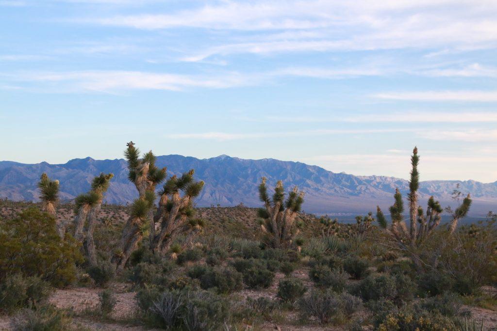 Why You Should Camp on BLM Land Visit USA Parks