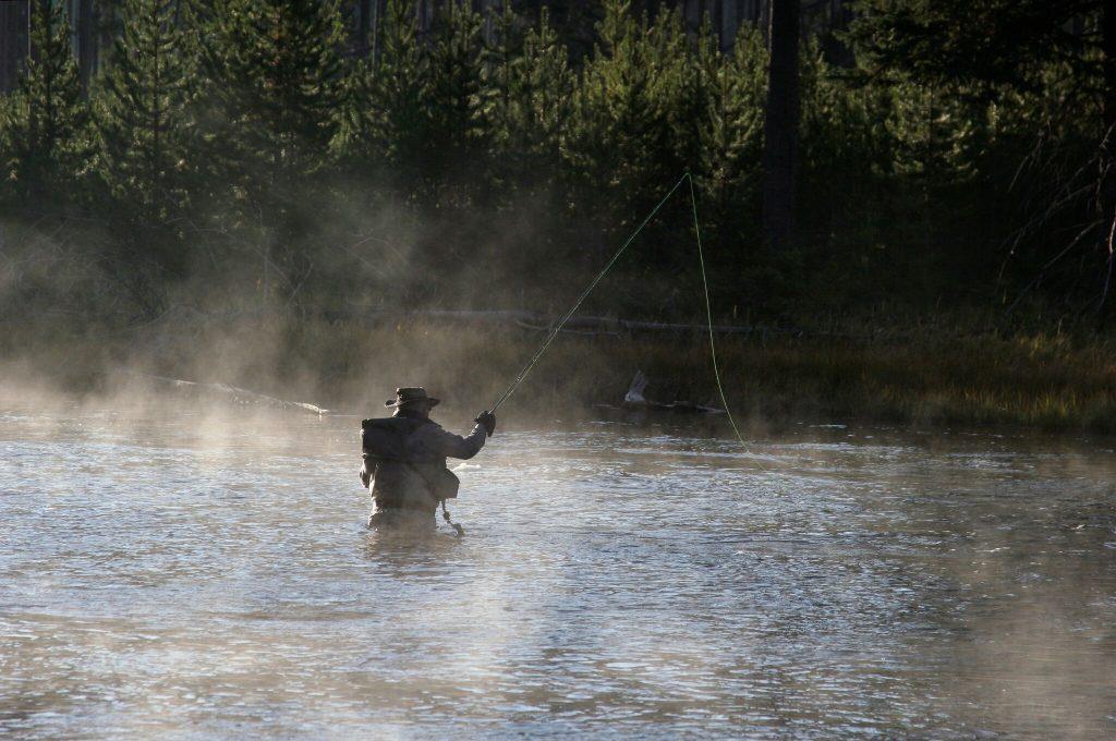 fly fishing, fishing, river, wyoming, Yellowstone