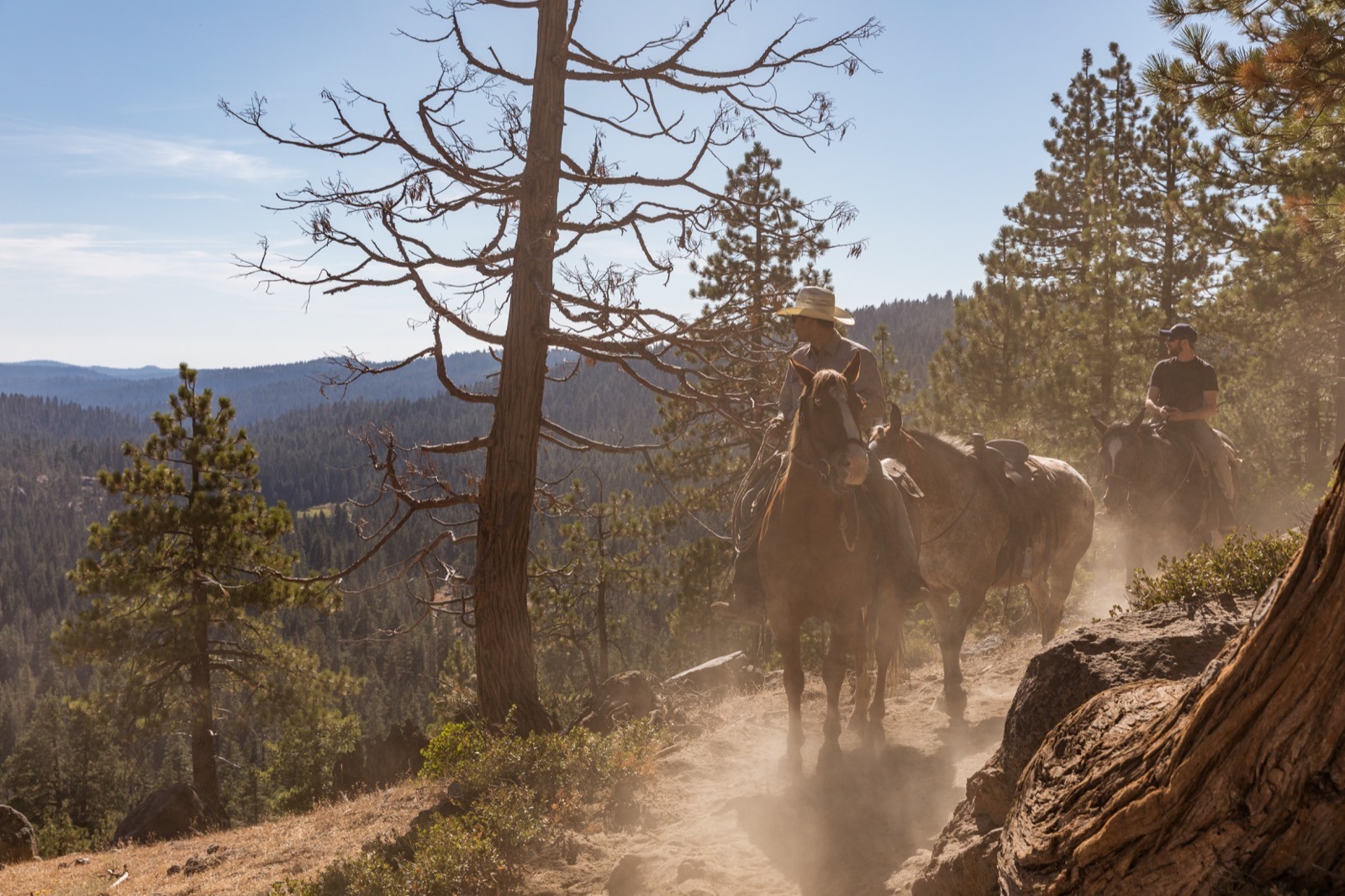 california-high-sierra-tuolumne-aspen-meadow-pack-station-horseback-riding-1