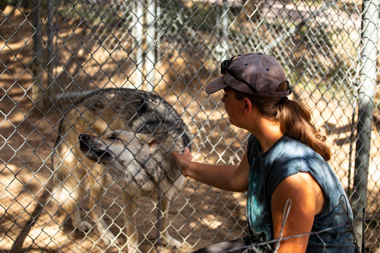 Grants, New Mexico - wolf sanctuary