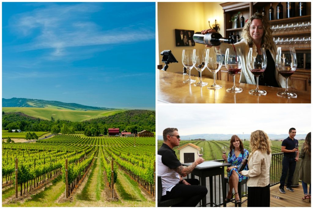 Wine Country Tastings and Tours in Walla Walla, Washington
