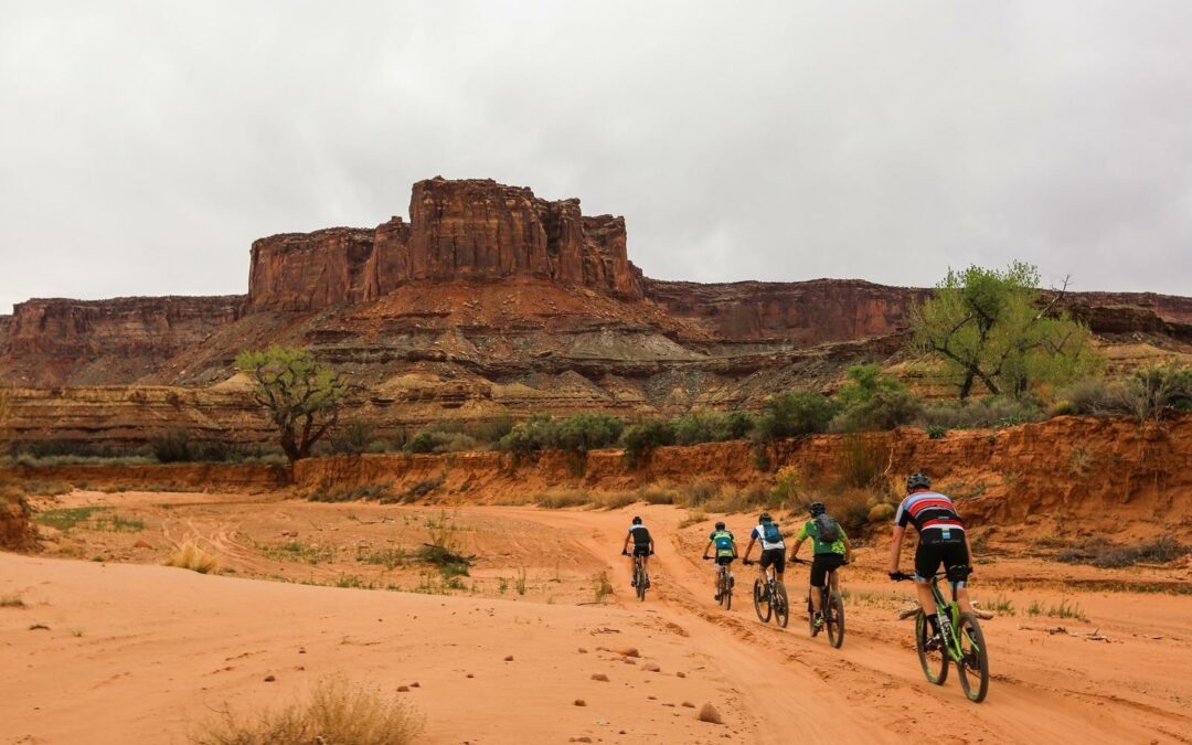 Best Mountain Biking Trails in National Parks