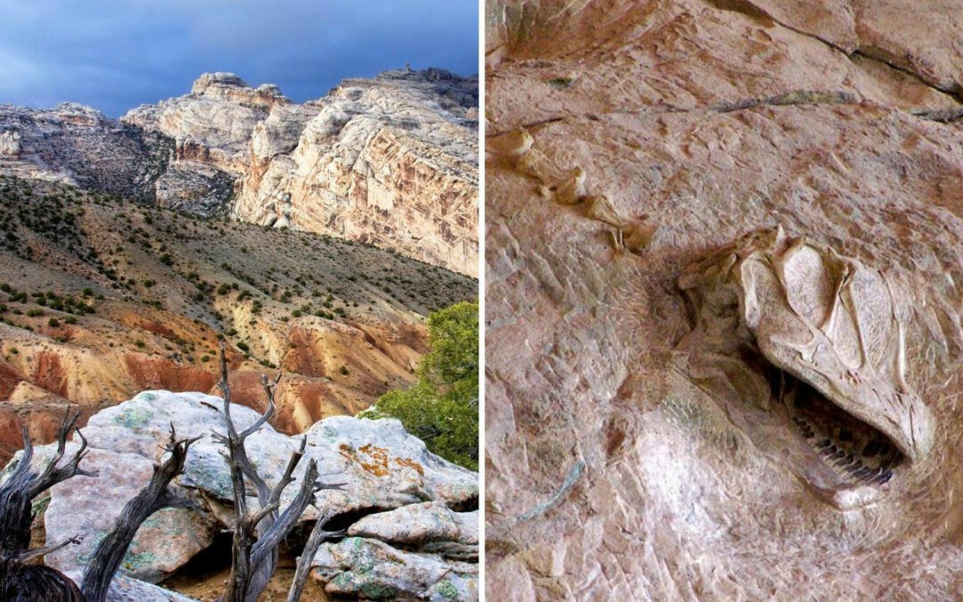 Best place to see dinosaur fossils in the US: Vernal