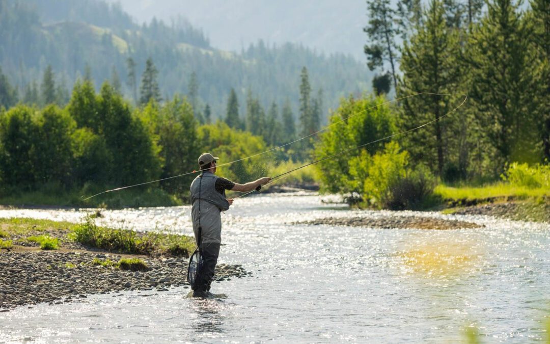 East Yellowstone: More than just a scenic drive