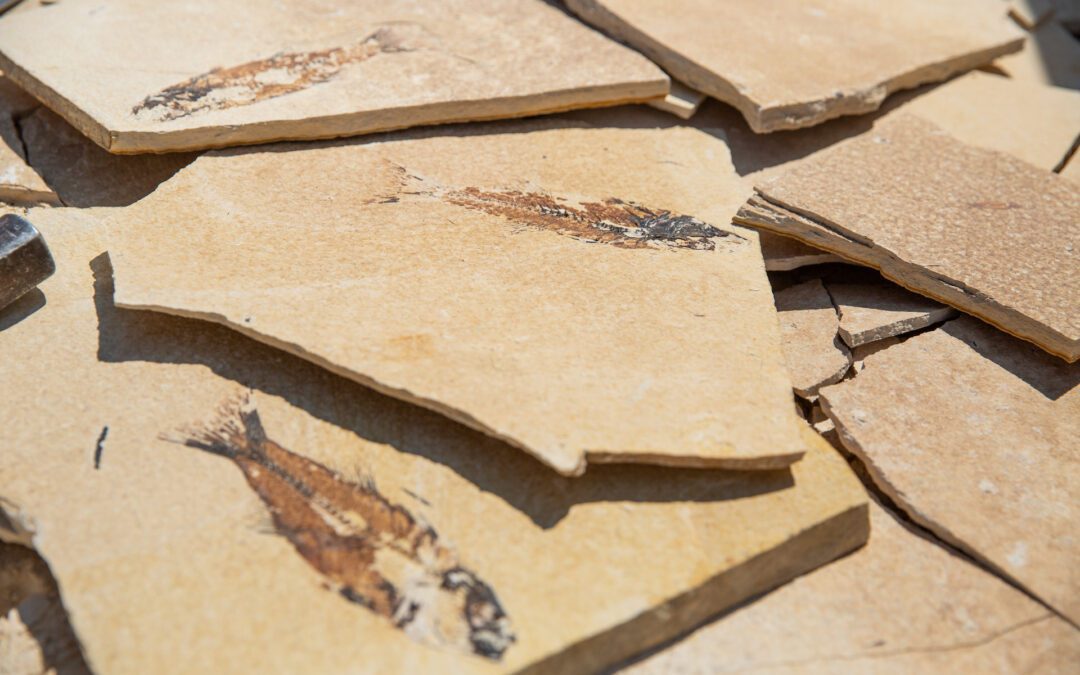 Kemmerer, Wyoming: Find The Uncommon