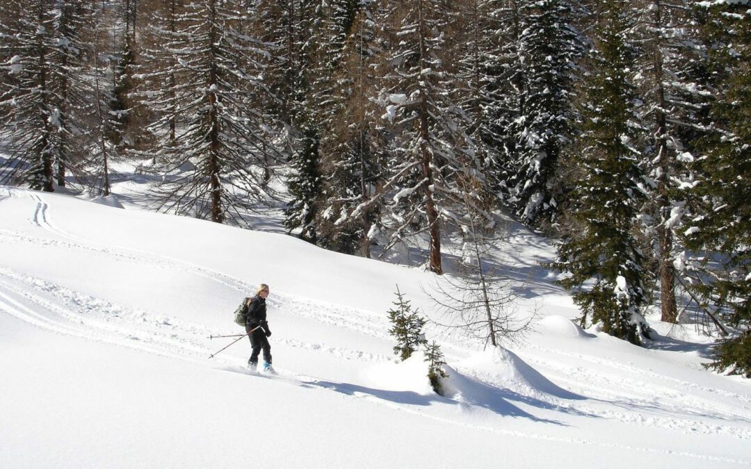 Dubois, Wyoming : l&rsquo;hiver sur le Togwotee Pass