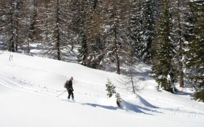 Dubois, Wyoming: inverno sul Togwotee Pass
