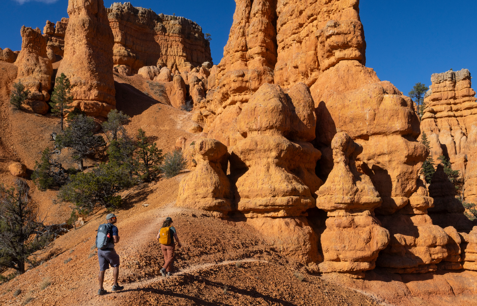 Hikers explore Red canyon hoodoos in Bryce Canyon Utah
