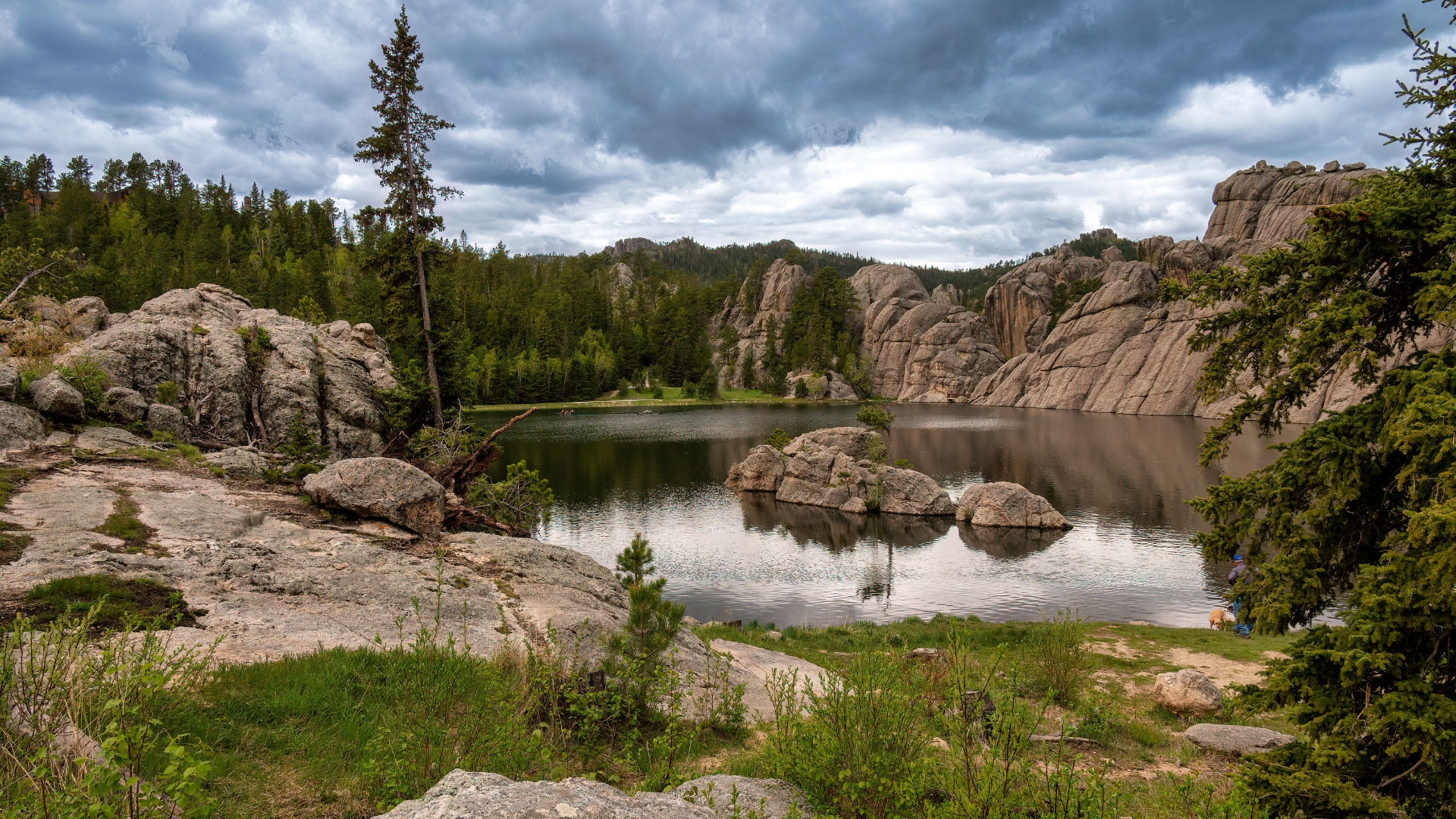 State Parks instead of National Parks