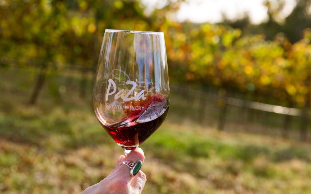 Au-delà de Tahoe : vin et eaux vives au Gold Country en Californie