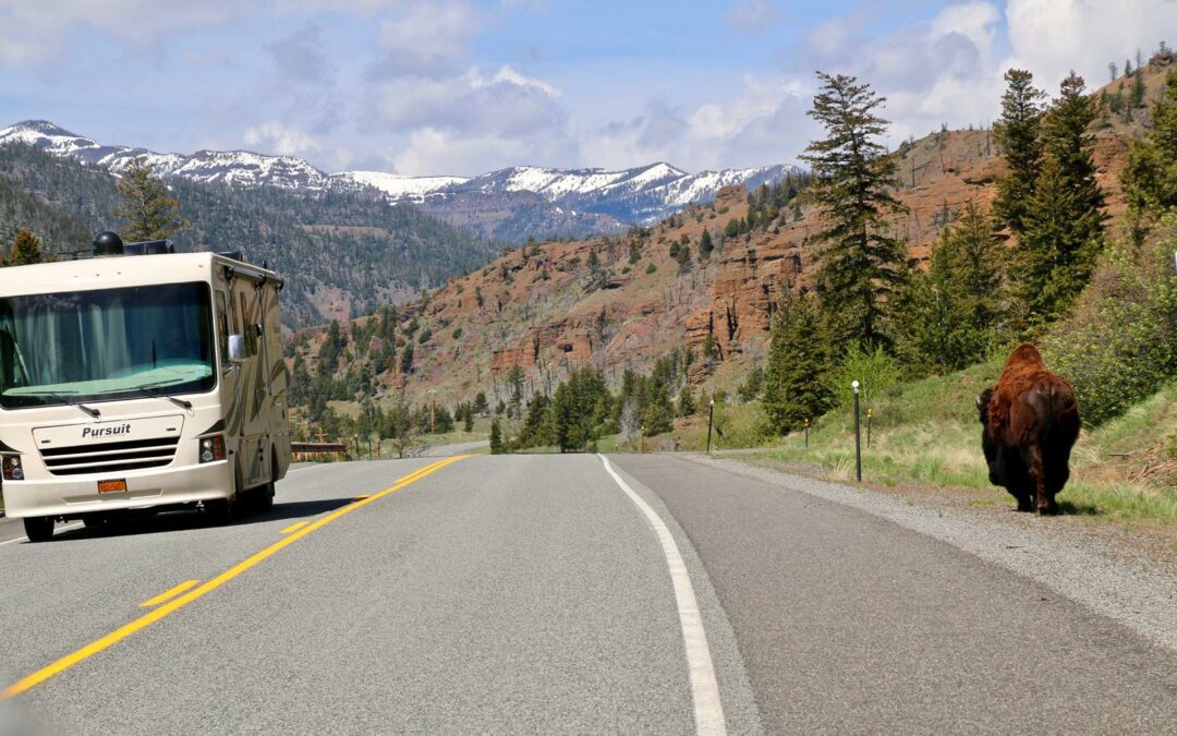 Zwei Tage voller Yellowstone-Abenteuer bei Lodges of East Yellowstone