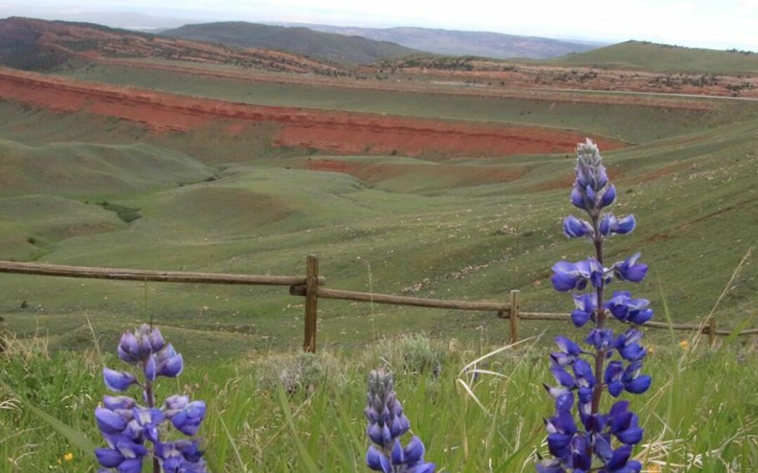 Que faire lors d’un séjour de 3 Jours à Wind River Country dans le Wyoming ?