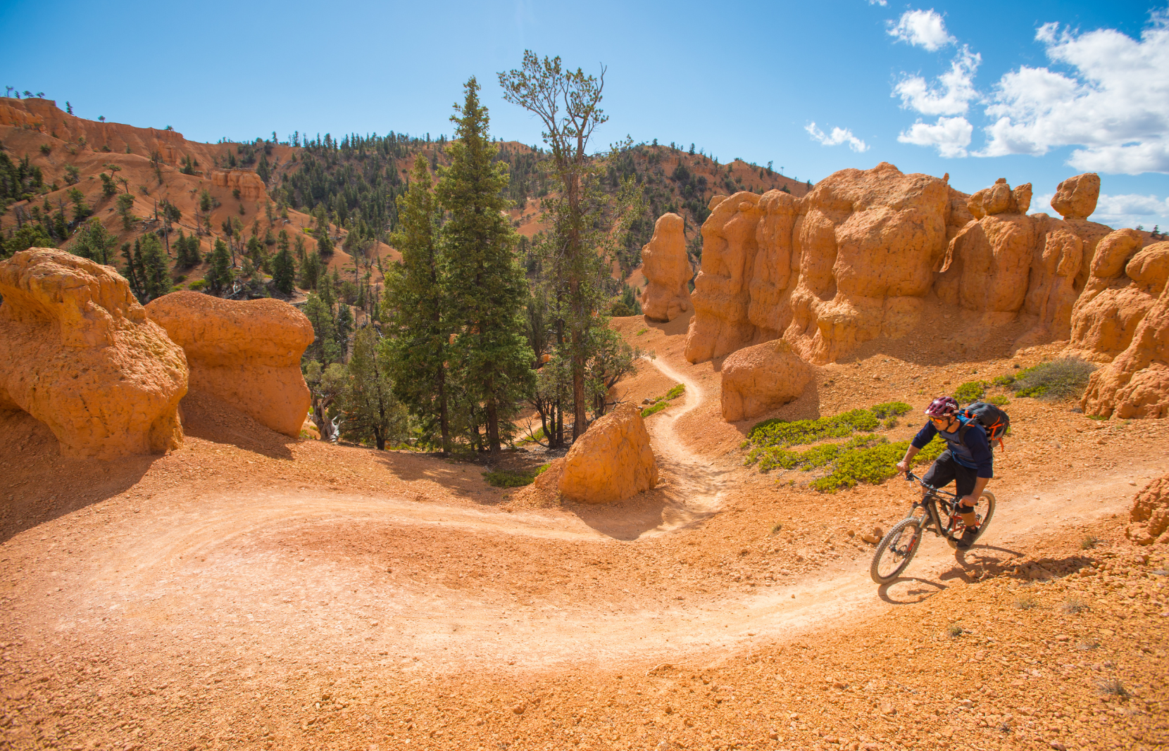 mountain biking trail Bryce Canyon Country
