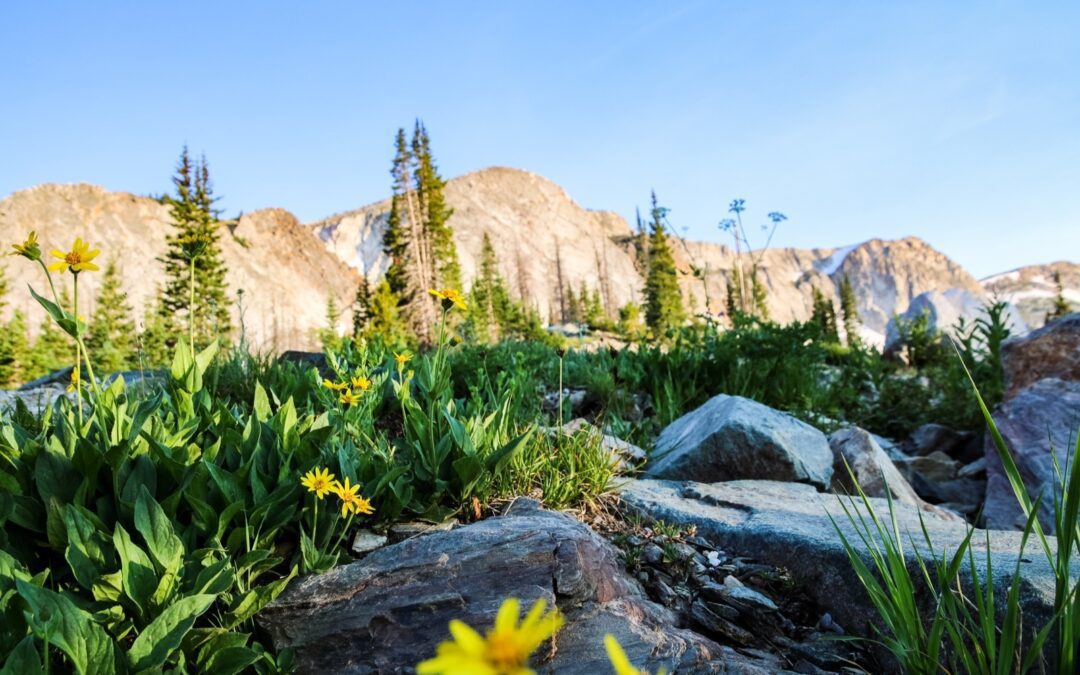 Escapade d’un weekend à Saratoga dans le Wyoming