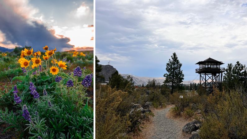Collage of images from hikes on the Cascade Loop
