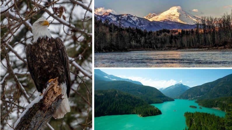 Collage of pictures from best west coast USA road trip