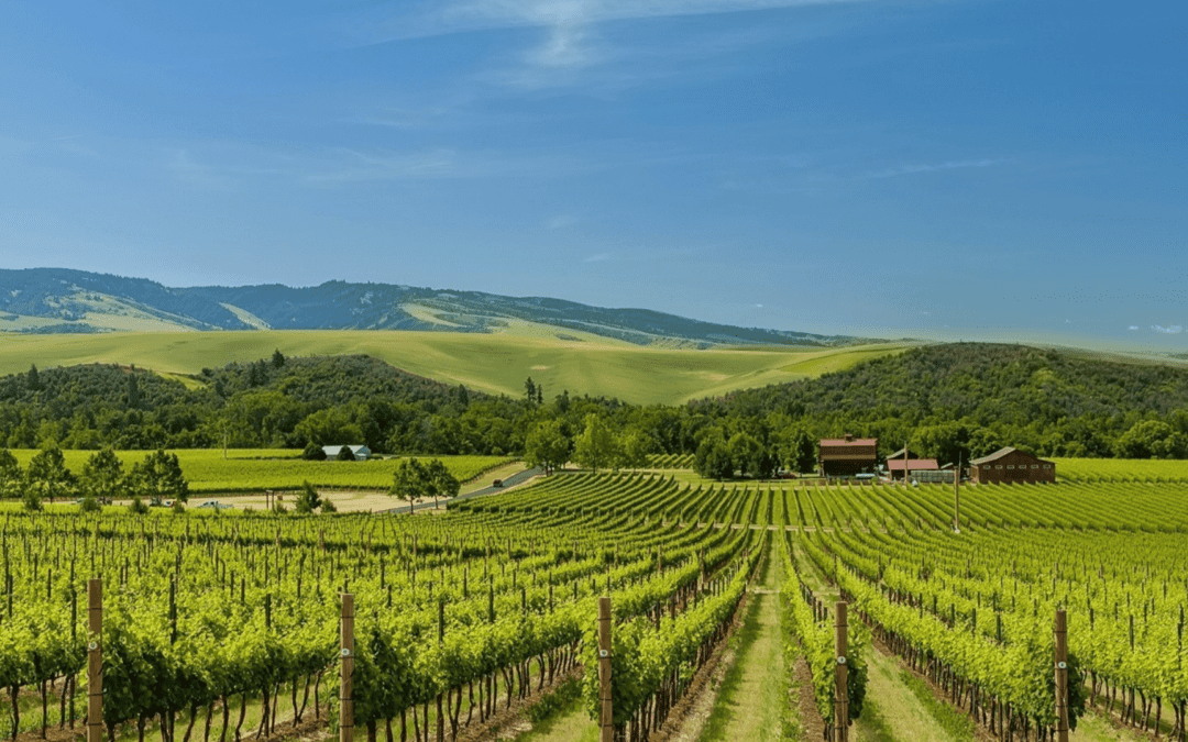 Wine Tours and More in the Pacific Northwest