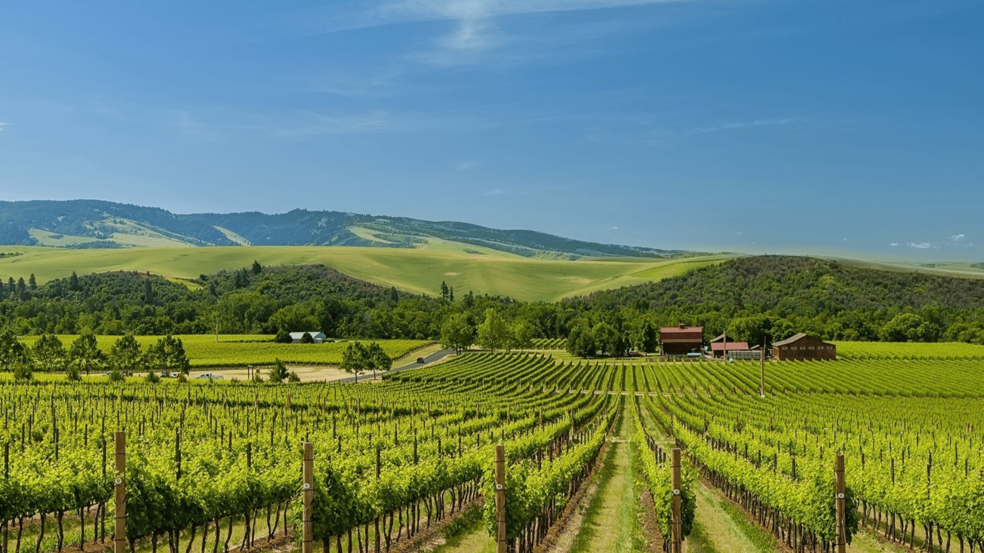 Wine Tours and More in the Pacific Northwest