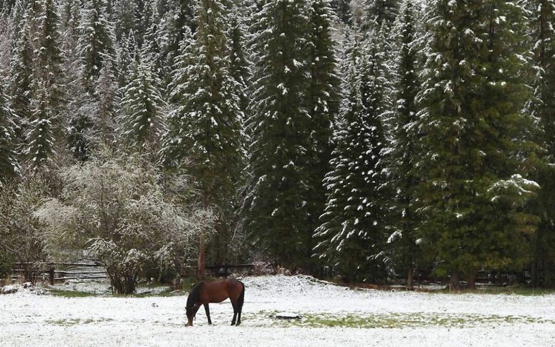 Dubois, Wyoming: Home Base for Exploring Winter in Yellowstone