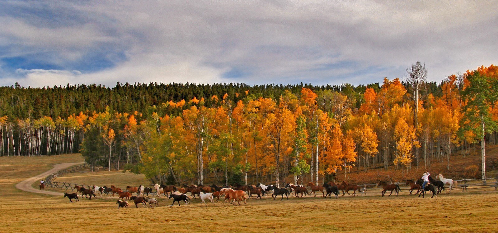 5 Reasons Paradise Guest Ranch is the Best Dude Ranch Experience in Wyoming