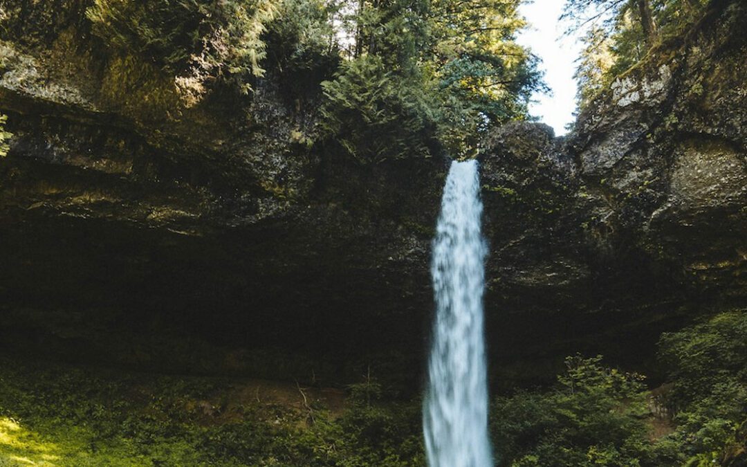 The Perfect Cellar Season Road Trip through the Willamette Valley