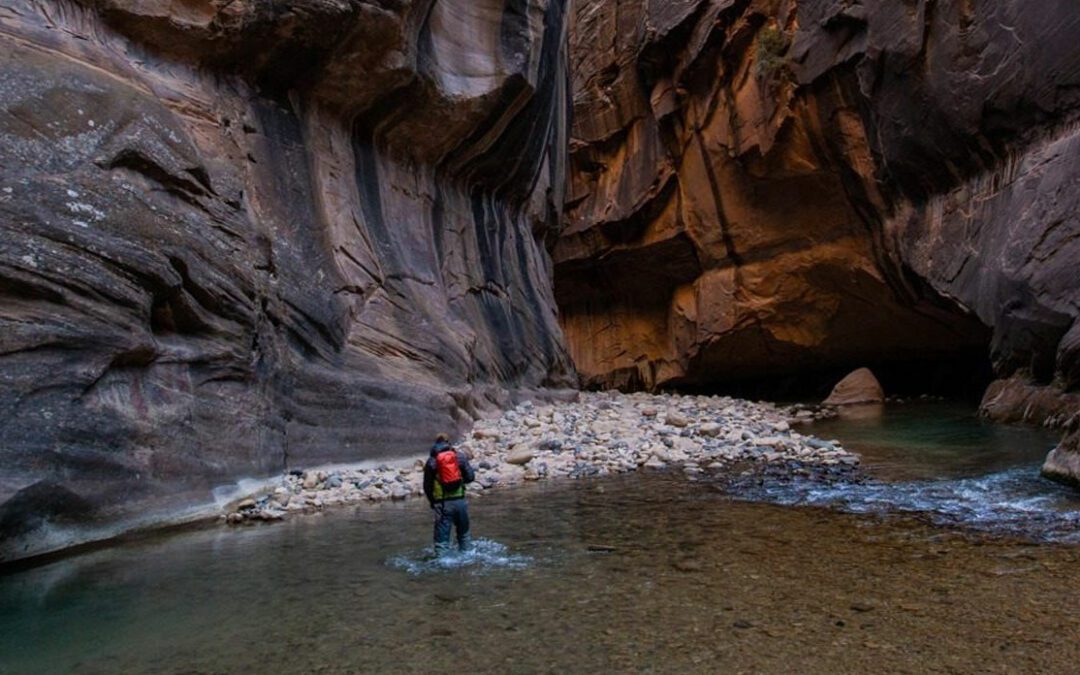 Parc national de Zion en hiver : aventure par temps froid