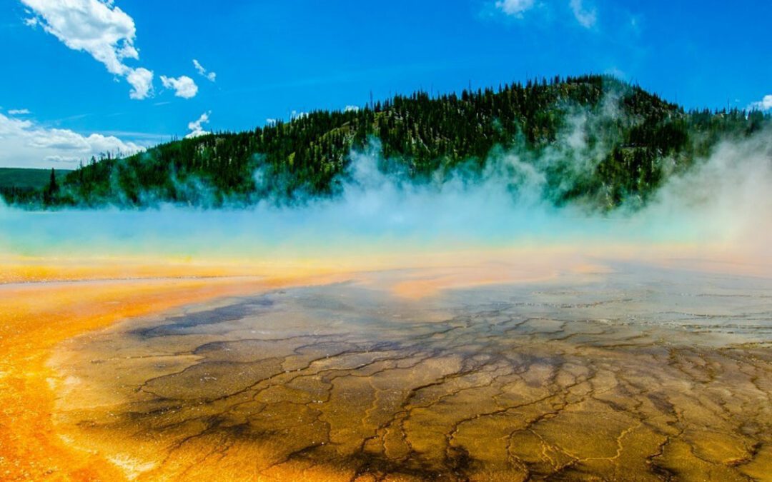Family Trip to Yellowstone Gone Wrong, or Just Right?