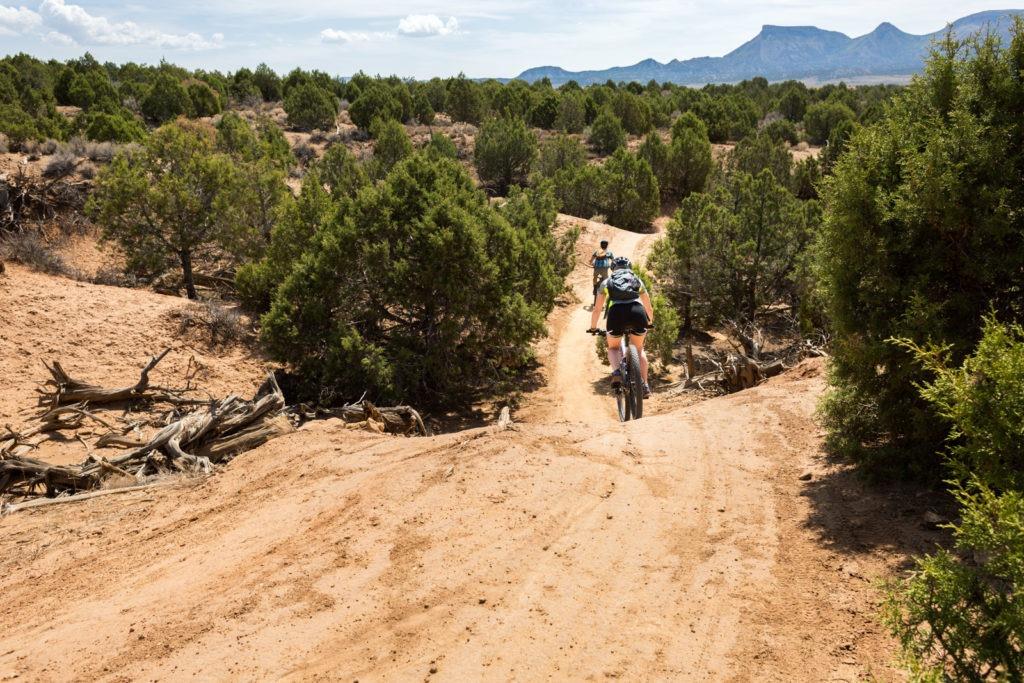 mesa-verde-phils-world-mountain-bike