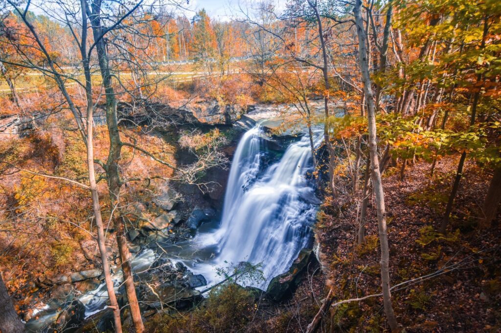 Yellowstone Boardwalk