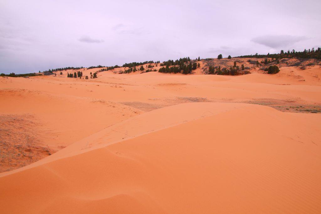 utah state parks, stuff to do near zion national park