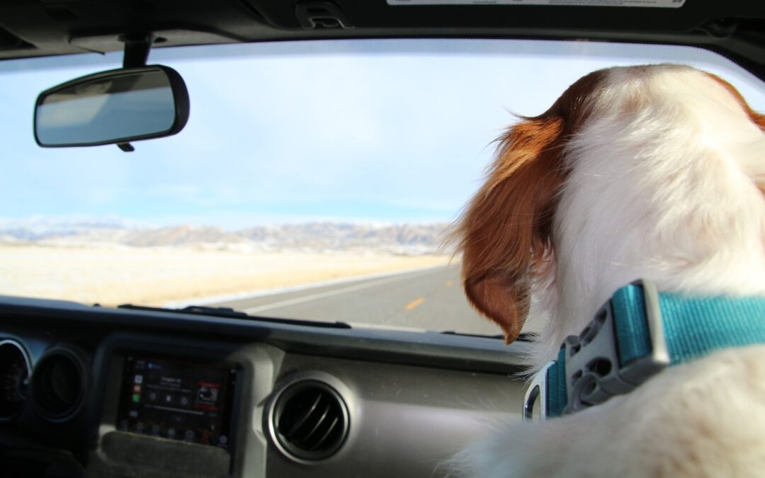 Wyoming Casinos: Winning so much more than dinner at Wind River Hotel & Casino