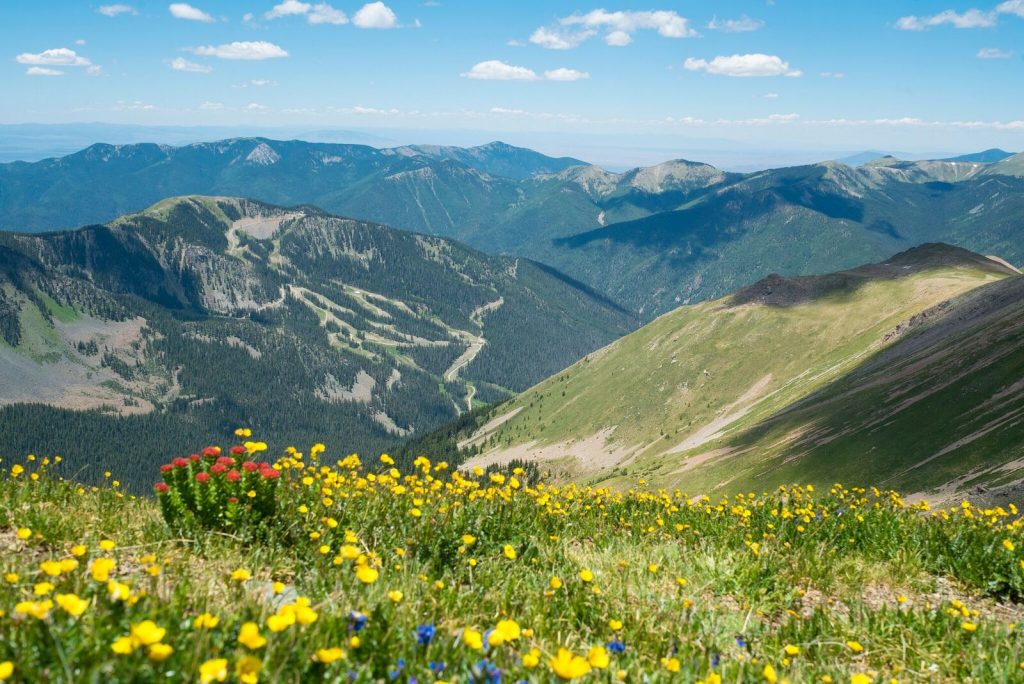 Yellowstone Boardwalk