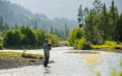 イエローストーンロードトリップ　おすすめ旅程：ブラックヒルズ経由ルート