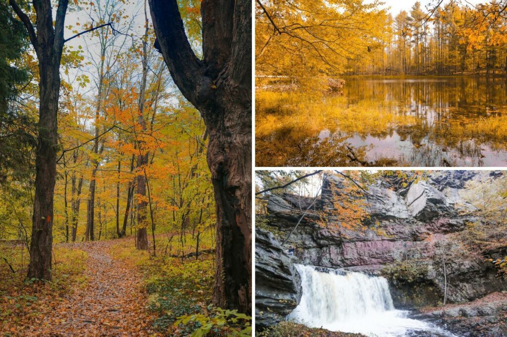 The Pocono Mountains - fall leaves and pond
