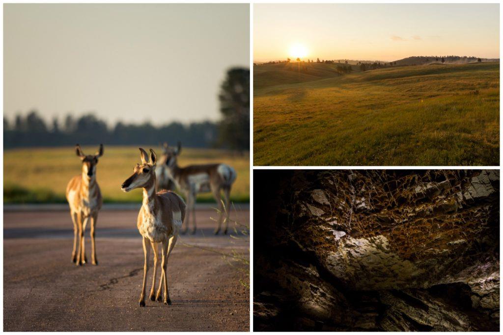 wind-cave-national-park