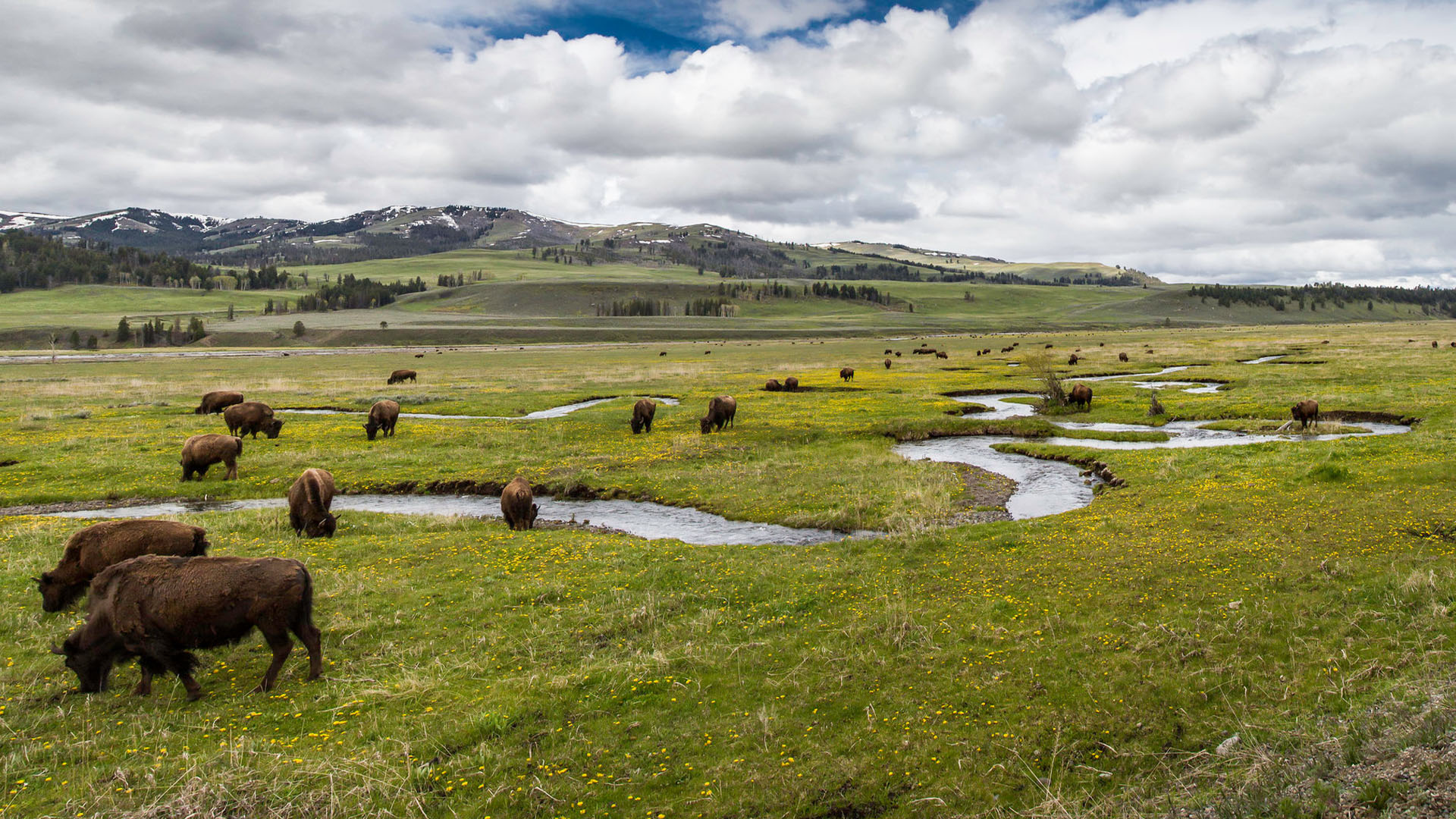 Spring into Adventure in West Yellowstone