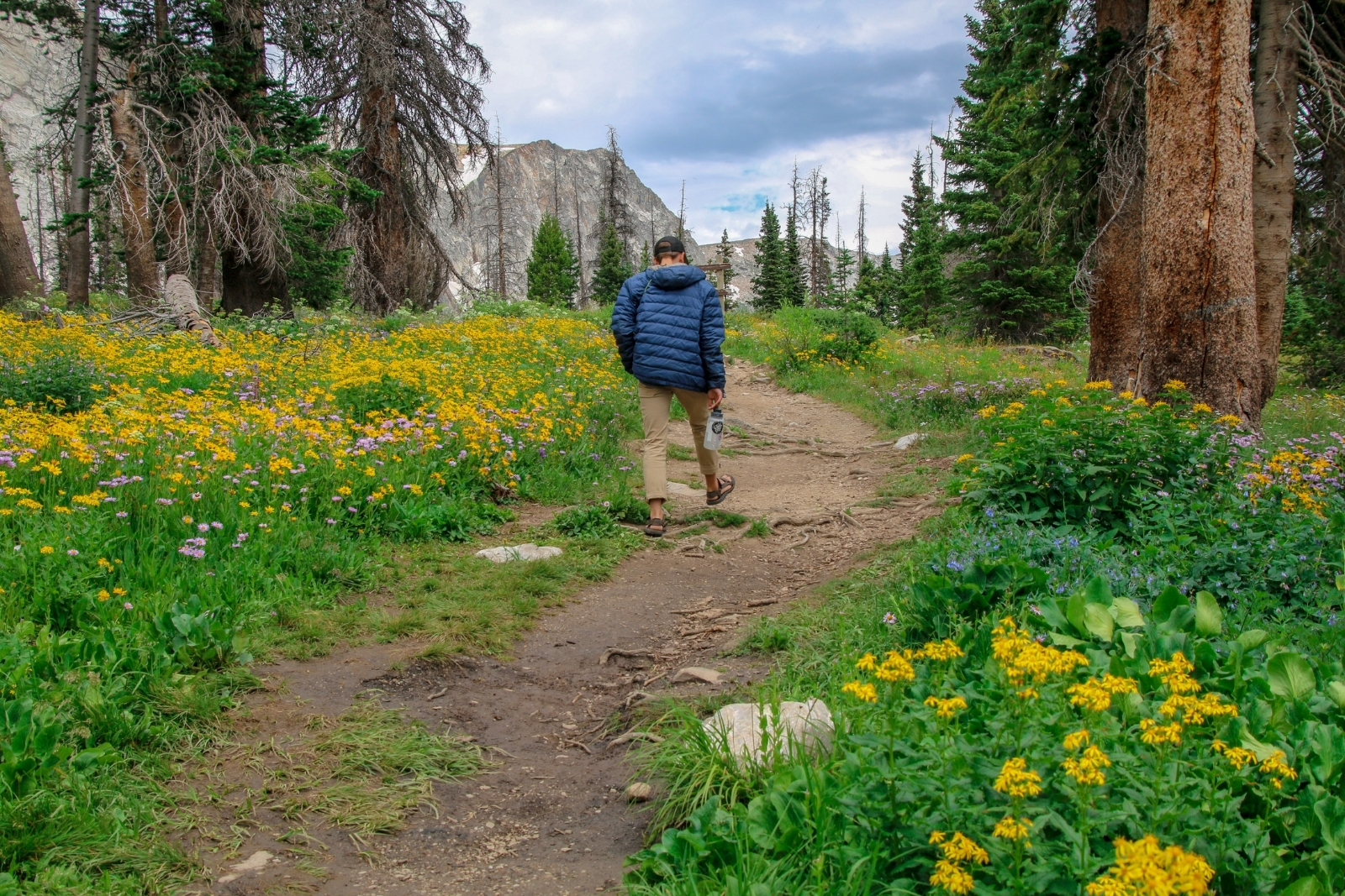a man hiking up a mountain trail with wildflowers and trees surrounding him