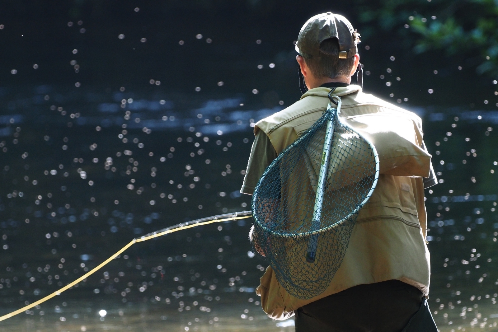 A man fly fishing