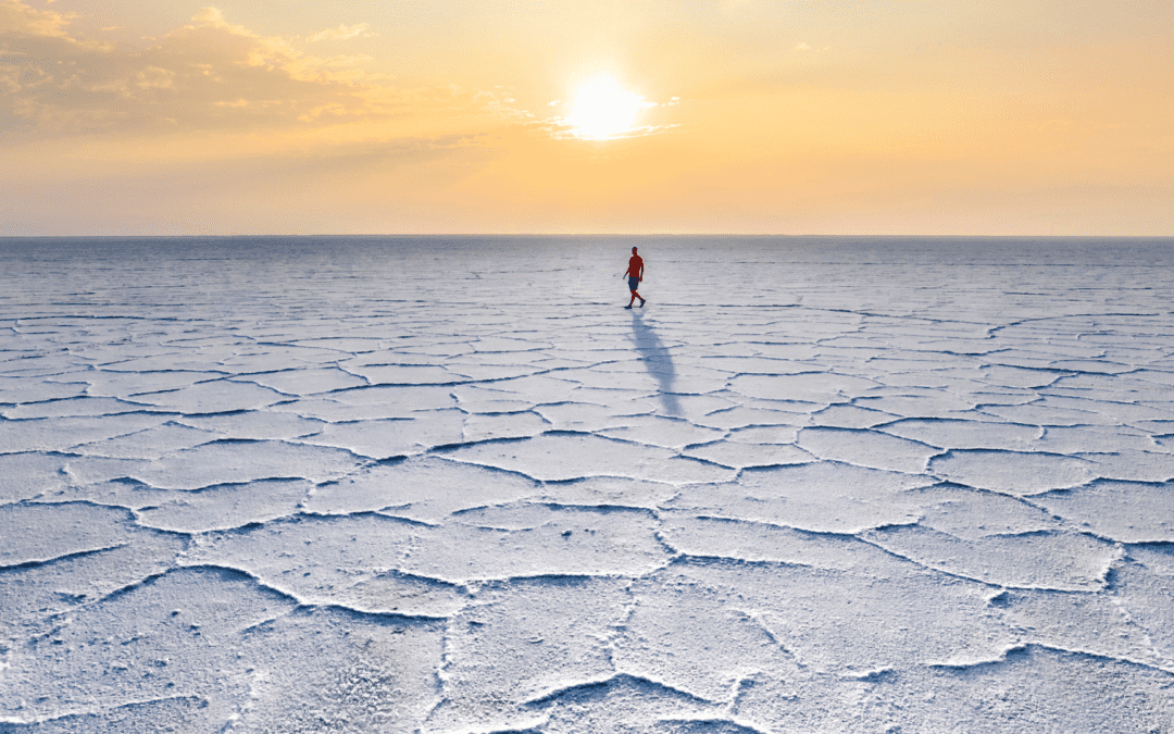 Nevada: The Silver State. Road Trips & Gaming. Desert Adventures & Mountain Getaways.