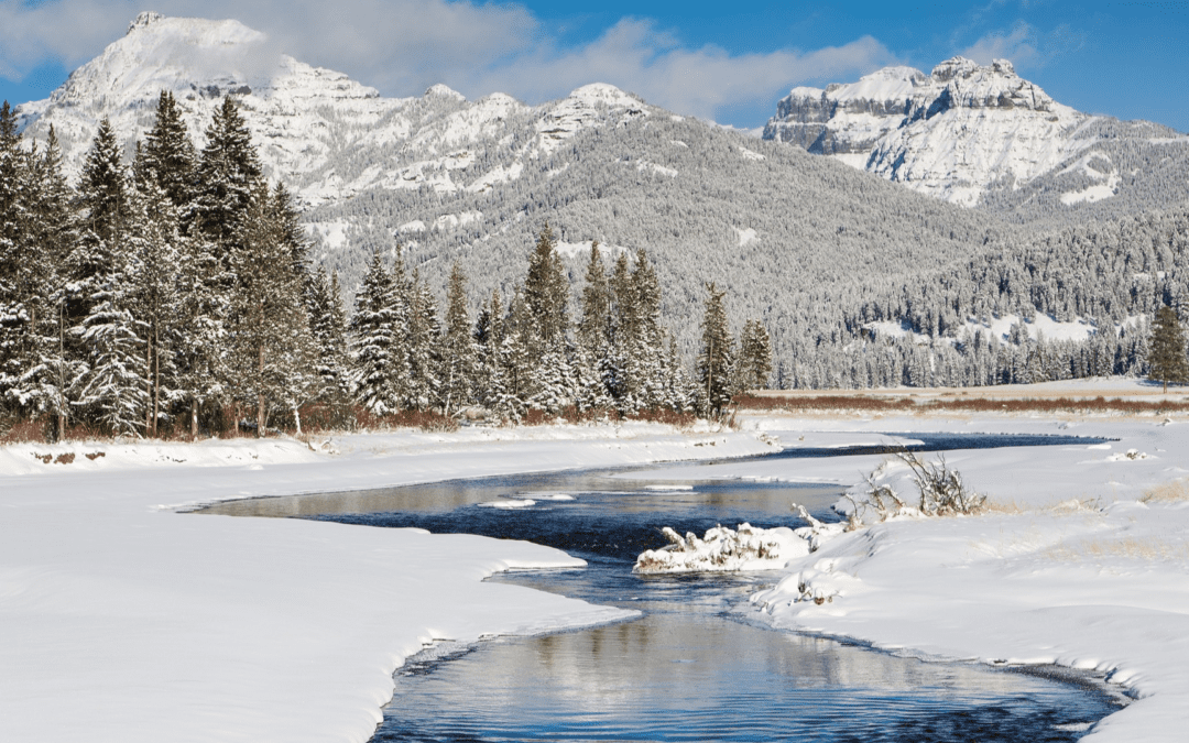 6 choses à faire lors de la visite de Yellowstone en hiver