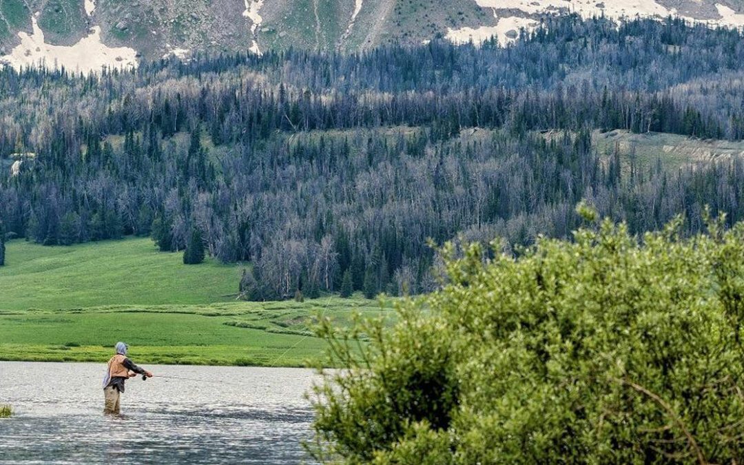 Top 5 des choses à faire dans le Wind River Country, Wyoming