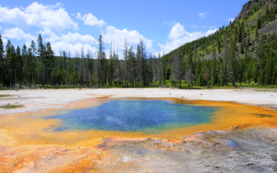 Road trip parcs nationaux américains : itinéraire de l’Utah à Yellowstone & les Grands Tétons
