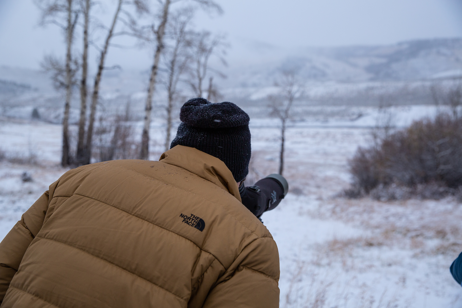 man looking through a scope in Yellowstone on a wildlife tour