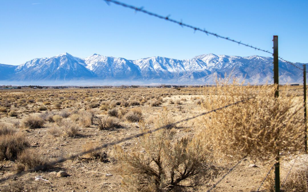 Road Trip to Legendary Carson Valley, Nevada