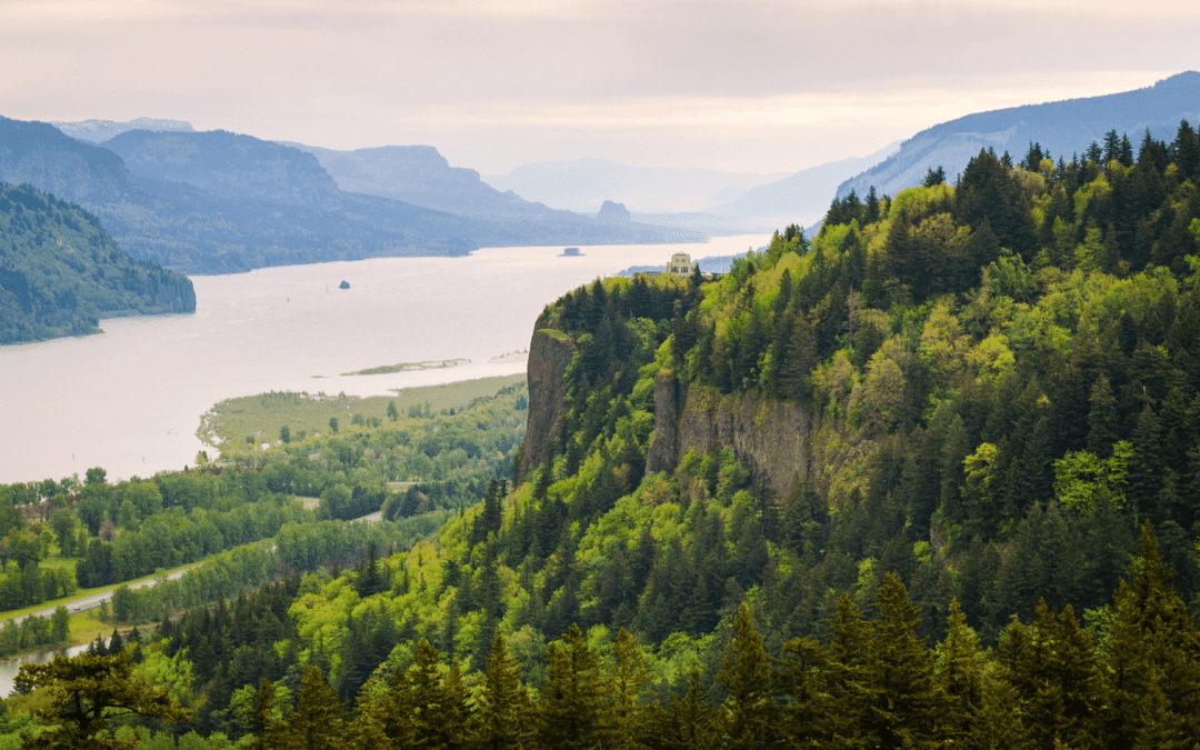 The Hidden Treasures of the West Coast