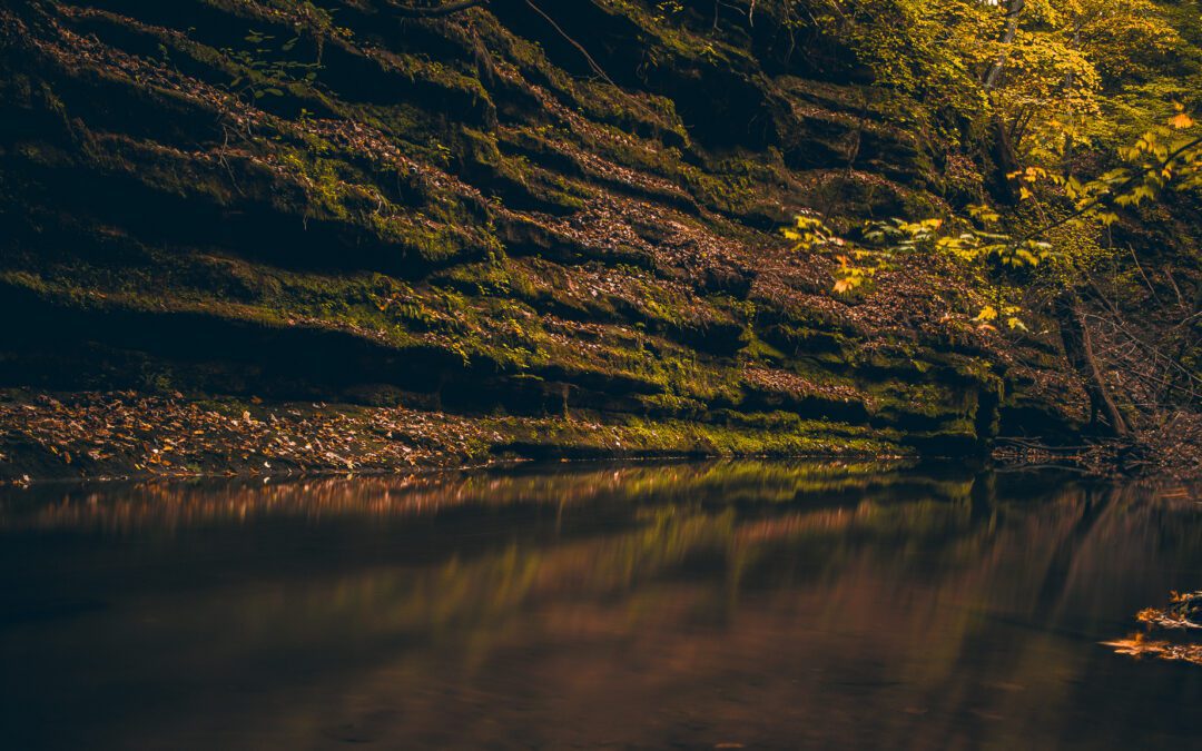 Hi Again, Matthiessen: Colors and Canyons Outside of Chicago