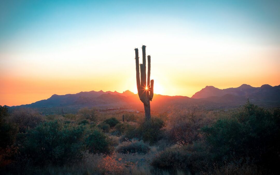 Why Work or Study from Home When You Could be in Southern Arizona?