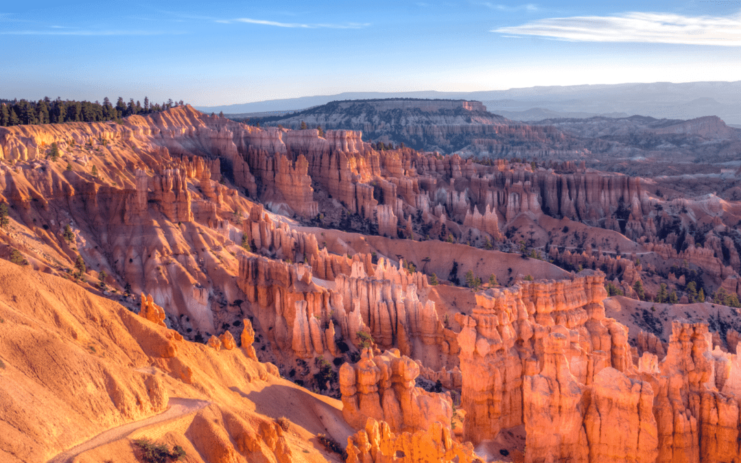 National Parks and a Southwest Road Trip