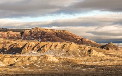 Salt Lake City, die Nationalparks und das Fossil Butte National Monument