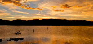 Alamo Lake State Park
